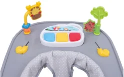 4Baby Walk 'n Push Dark Grey Loopstoel 7022 -LiefjesHoek Verkoop 4baby walk n push dark grey loopstoel 7022 3