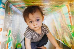 Prince Lionheart Playmat City/Zoo Opvouwbaar Speelkleed 7765 -LiefjesHoek Verkoop 999999 049345002119 6 4