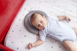 Babymoov Lovenest Premium Smokey Ergonomisch Hoofdkussentje A050224 -LiefjesHoek Verkoop Babymoov Lovenest Premium Smokey Kussentje A050217 4