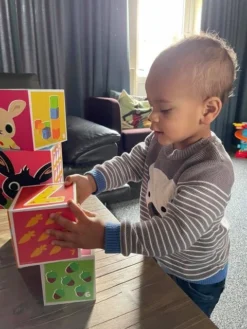 Bambolino Toys Bing Stapelkubussen 19073 -LiefjesHoek Verkoop bambolino toys bing stapelkubussen 19073 11