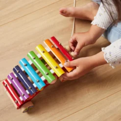 Bieco Pull Along Xylofoon 23022549 9 Bieco Pull Along Xylofoon 23022549 -LiefjesHoek Verkoop bieco pull along xylofoon 23022549 5