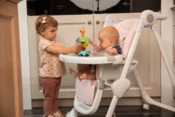 Bo Jungle B-Suction Toy Smart Owl Kinderstoel Speelgoed B910810 -LiefjesHoek Verkoop bo jungle b suction toy smart owl kinderstoel speelgoed b910810 7