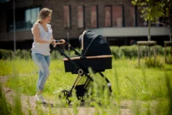 Ding Fenix Black/Rose Kinderwagen DI-191702 -LiefjesHoek Verkoop ding fenix rose kinderwagen