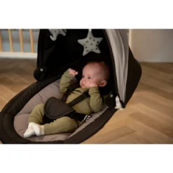 Ding Hugg Black Swing Babyschommel DI-938428 21 Ding Hugg Black Swing Babyschommel DI-938428 -LiefjesHoek Verkoop ding hugg black swing babyschommel 11
