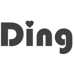 Ding Cruz Black 360° Isofix Autostoel 0-36kg DI-101919 -LiefjesHoek Verkoop ding logo 12 1