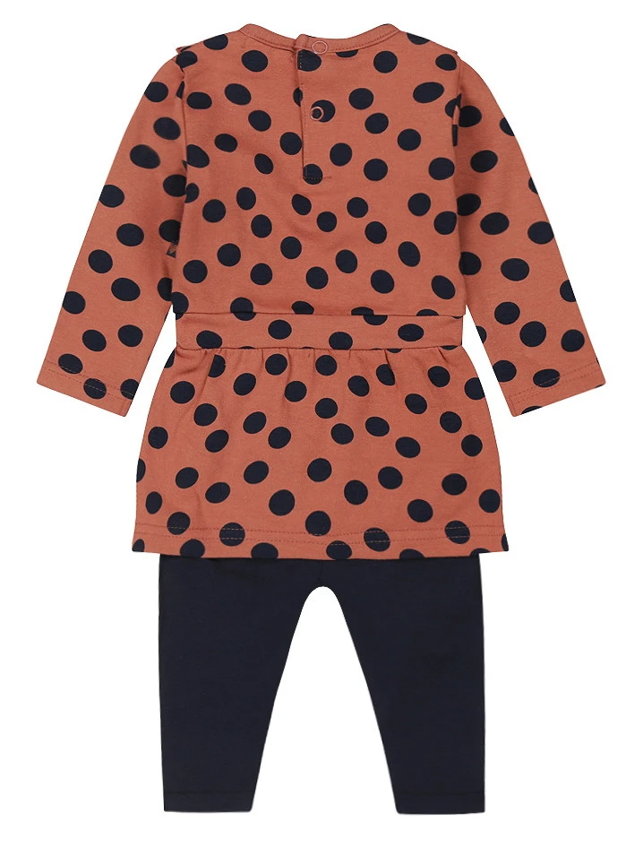 Dirkje Dreams Smokey Pink Maat 68 Jurkje Met Legging S48308-31 W23 - Afbeelding 2