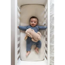 Doomoo Snoogy Biscuit Konijn Magnetronknuffel SY21 -LiefjesHoek Verkoop doomoo snoogy biscuit konijn magnetronknuffel sy21 7