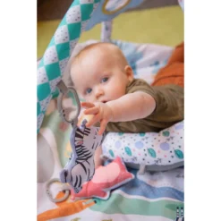 Eco Toys Jungle Speelkleed/Ballenbak CH91501 -LiefjesHoek Verkoop eco toys jungle speelkleed ballenbak ch91501 04