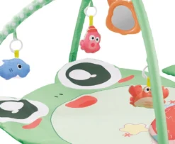 Eco Toys Kikker Activity Gym Speelkleed HC506649 -LiefjesHoek Verkoop eco toys kikker activity gym speelkleed hc506649 2