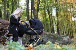 Baby Merc Faster 3 Black/Gold Limited Edition Kinderwagen Incl. Autostoel L143 -LiefjesHoek Verkoop faster gold 1