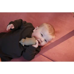 Filibabba Bertram The Bear Natuurrubber Bijtspeeltje FILI-BERTRTEETH_1_02214 11 Filibabba Bertram The Bear Natuurrubber Bijtspeeltje FILI-BERTRTEETH_1_02214 -LiefjesHoek Verkoop filibabba bertram the bear natuurrubber bijtspeeltje fili bertrteeth 1 02214 6