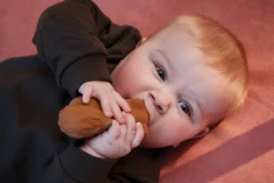 Filibabba Sonja The Squirrel Natuurrubber Bijtspeeltje FILI-SONJATEETH_1_02213 11 Filibabba Sonja The Squirrel Natuurrubber Bijtspeeltje FILI-SONJATEETH_1_02213 -LiefjesHoek Verkoop filibabba sonja the squirrel natuurrubber bijtspeeltje fili sonjateeth 1 02213 5