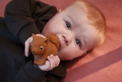 Filibabba Sonja The Squirrel Natuurrubber Bijtspeeltje FILI-SONJATEETH_1_02213 12 Filibabba Sonja The Squirrel Natuurrubber Bijtspeeltje FILI-SONJATEETH_1_02213 -LiefjesHoek Verkoop filibabba sonja the squirrel natuurrubber bijtspeeltje fili sonjateeth 1 02213 6