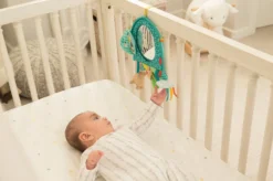 Infantino Elephant Autospiegel BK-316313 -LiefjesHoek Verkoop infantino elephant autospiegel bk 316313 2