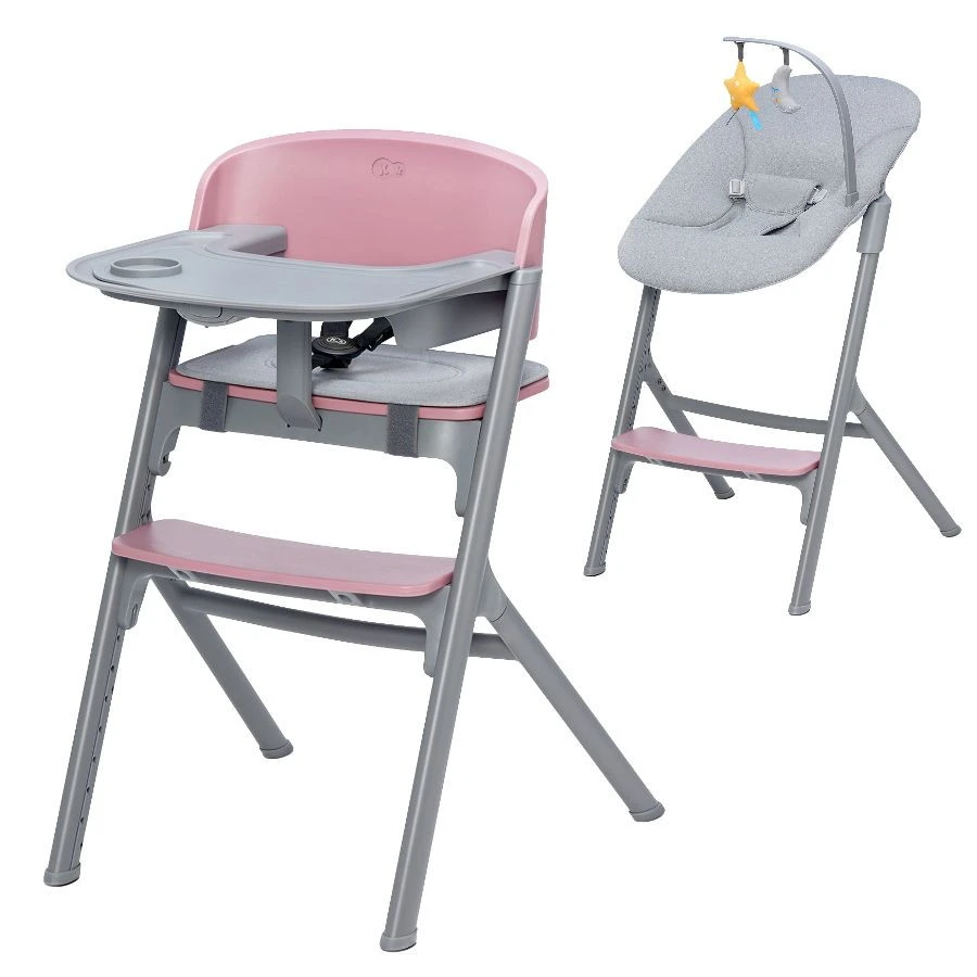 Kinderkraft Livy Aster Pink 4-in-1 Meegroeistoel Incl. Calmee Wipstoeltje KHLICA00PNK0000 1 Kinderkraft Livy Aster Pink 4-in-1 Meegroeistoel Incl. Calmee Wipstoeltje KHLICA00PNK0000