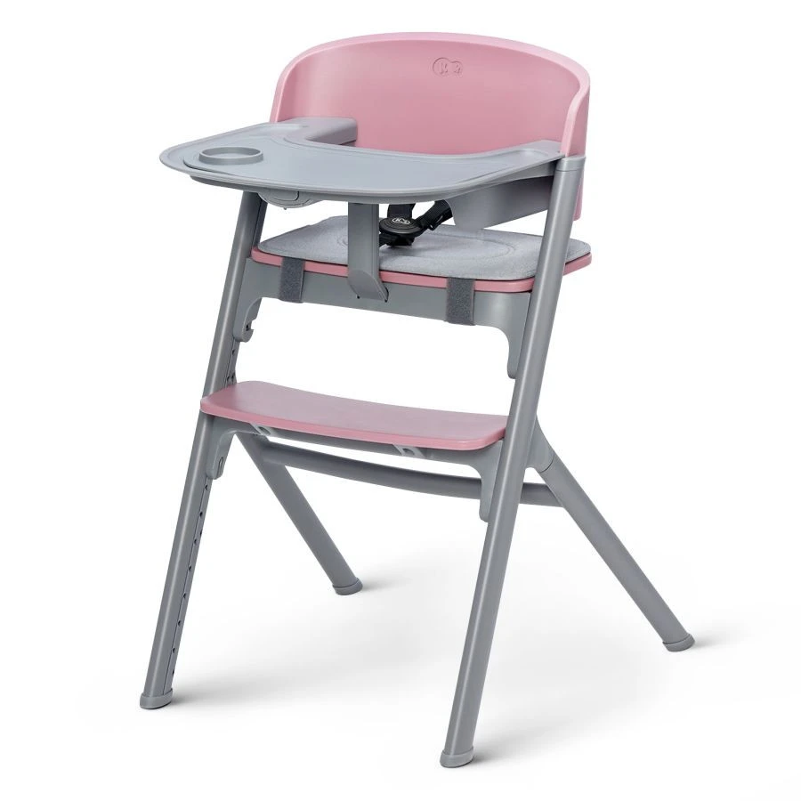 Kinderkraft Livy Aster Pink 4-in-1 Meegroeistoel Incl. Calmee Wipstoeltje KHLICA00PNK0000 2 Kinderkraft Livy Aster Pink 4-in-1 Meegroeistoel Incl. Calmee Wipstoeltje KHLICA00PNK0000 - Afbeelding 2