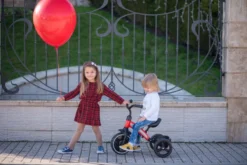 Lorelli Dallas Grey Driewieler 1005050-005 21 Lorelli Dallas Grey Driewieler 1005050-005 -LiefjesHoek Verkoop lorelli dallas driewieler 10 1