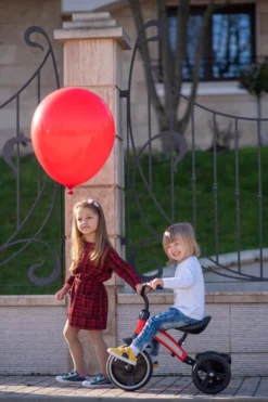 Lorelli Dallas Red Driewieler 1005050-004 22 Lorelli Dallas Red Driewieler 1005050-004 -LiefjesHoek Verkoop lorelli dallas driewieler 11