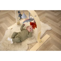 Tryco Houten Babygym TR-303011 -LiefjesHoek Verkoop mamaloes tryco babygym 01 1