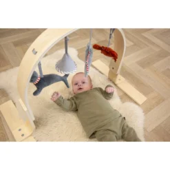 Tryco Houten Babygym TR-303011 -LiefjesHoek Verkoop mamaloes tryco babygym 02 1