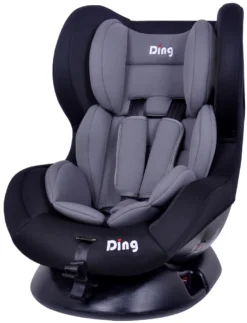 Ding Dano Zwart/Grijs Autostoel 0-18 Kg CS002