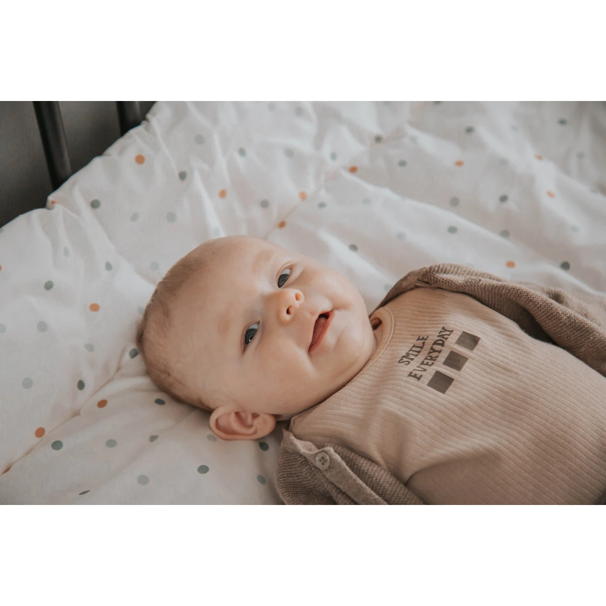 MamaLoes Berry Branch 80 X 100 Cm Omkeerbaar Boxkleed ML020228 11 MamaLoes Berry Branch 80 X 100 Cm Omkeerbaar Boxkleed ML020228 - Afbeelding 11