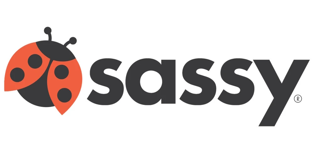 Sassy Bumby Ball Educatieve Speelbal S80109 2 Sassy Bumby Ball Educatieve Speelbal S80109 - Afbeelding 2