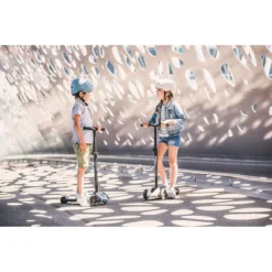 Scoot And Ride Ash Highwaykick 5 Step SR-96440 -LiefjesHoek Verkoop scoot and ride ash highwaykick 5 step sr 96440 sfeer