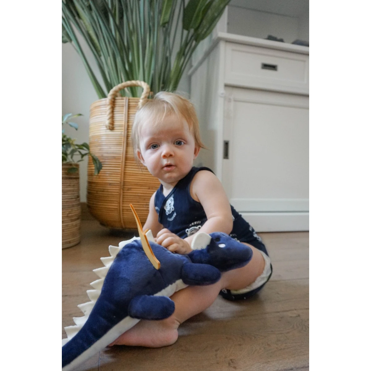 Tryco Draak Diego 38 Cm Knuffel TR-243331 9 Tryco Draak Diego 38 Cm Knuffel TR-243331 - Afbeelding 9