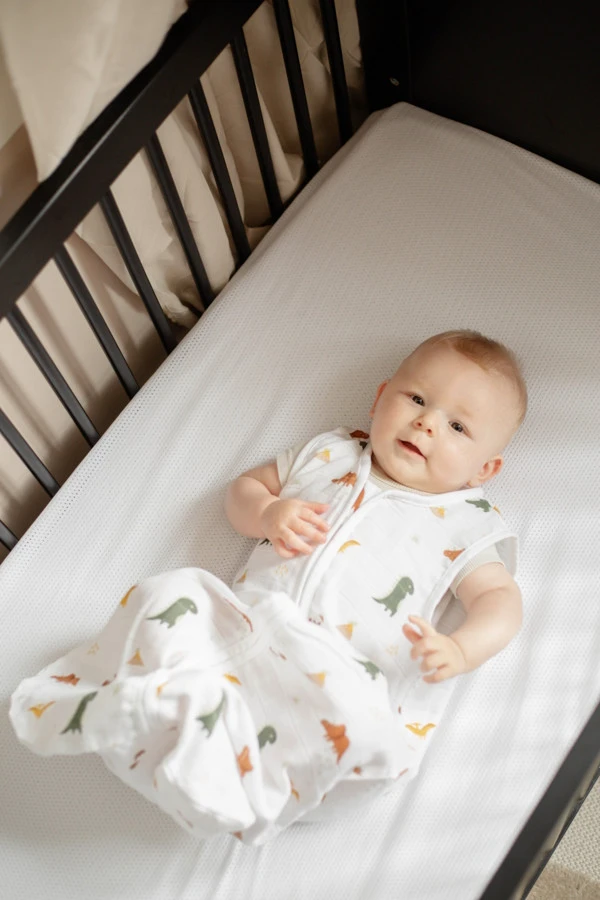 Blush & Blossom Dinosaurus 70 Cm Hydrofiel Slaapzak TR-BB443423 5 Blush & Blossom Dinosaurus 70 Cm Hydrofiel Slaapzak TR-BB443423 - Afbeelding 5