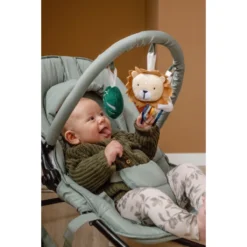 Tryco Lion Leo Groen Wipstoel TR-272703 -LiefjesHoek Verkoop tryco lion leo groen wipstoel tr 272703 sfeer3 1