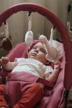 Tryco Swan Ivy Roze Wipstoel TR-272704 -LiefjesHoek Verkoop tryco swan ivy roze wipstoel tr 272704 12 3