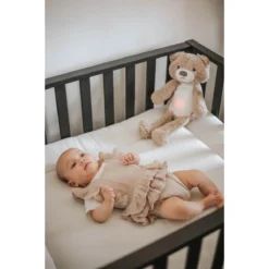 Zazu Brody De Beer Taupe Slaaptrainer ZA-BRODY-01 -LiefjesHoek Verkoop zazu brody sfeer 3 2