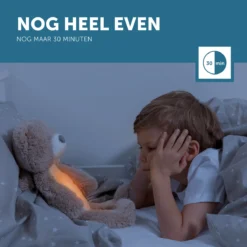 Zazu Brody De Beer Taupe Slaaptrainer ZA-BRODY-01 -LiefjesHoek Verkoop zazu brody de beer taupe slaaptrainer sfeer 7